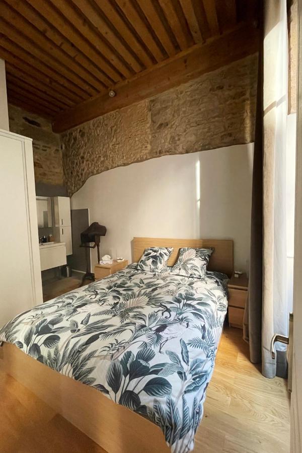Coeur Vieux Lyon, 60 M2 Lumineux Tout Confort ภายนอก รูปภาพ